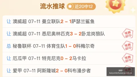 2026年武汉队逆袭之路客户服务平台：合肥战记，挑战历史劣势