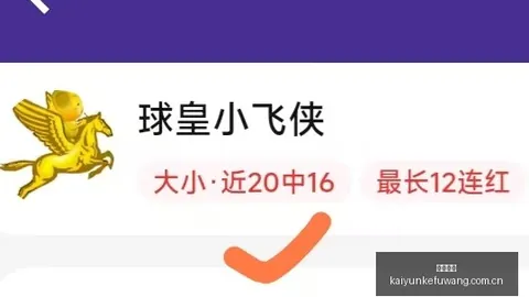 2026南美杯焦点解析：博卡青年，轻松夺冠之路